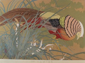 Image description is not available for DU1944.107